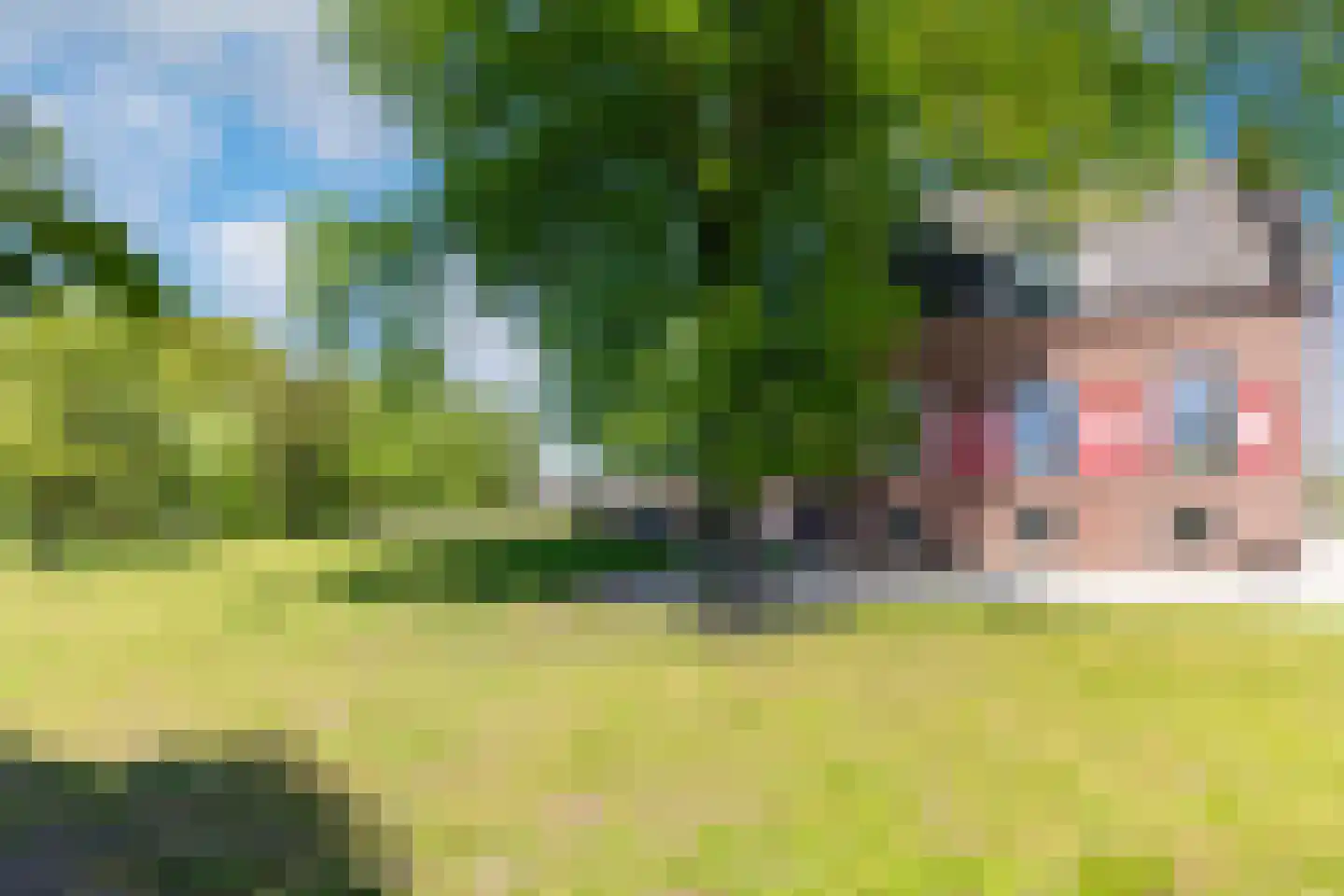 Kreugerlaan 7 Weesp thumbnail 62