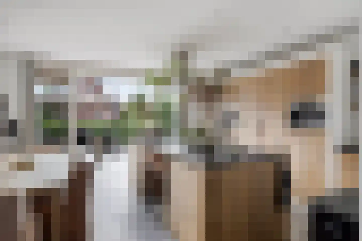 Kreukel 15 Bergen op Zoom thumbnail 11