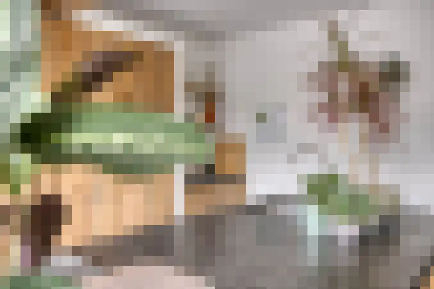Kreukel 15 Bergen op Zoom thumbnail 12