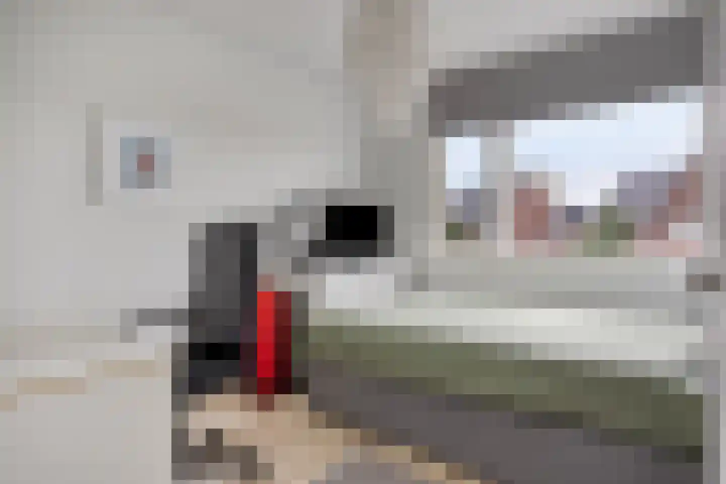 Kreukel 15 Bergen op Zoom thumbnail 20