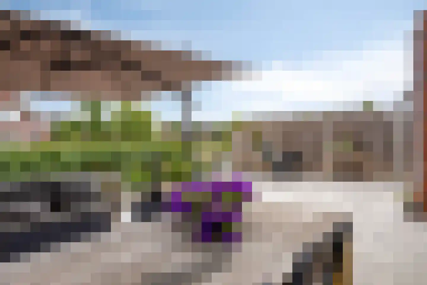 Kreukel 15 Bergen op Zoom thumbnail 39
