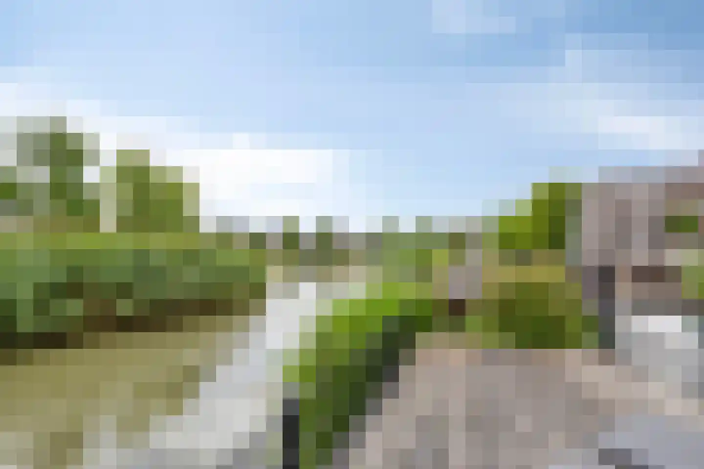 Kreukel 15 Bergen op Zoom thumbnail 42