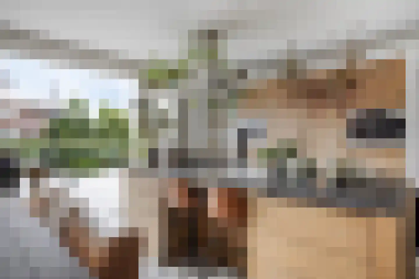 Kreukel 15 Bergen op Zoom thumbnail 5