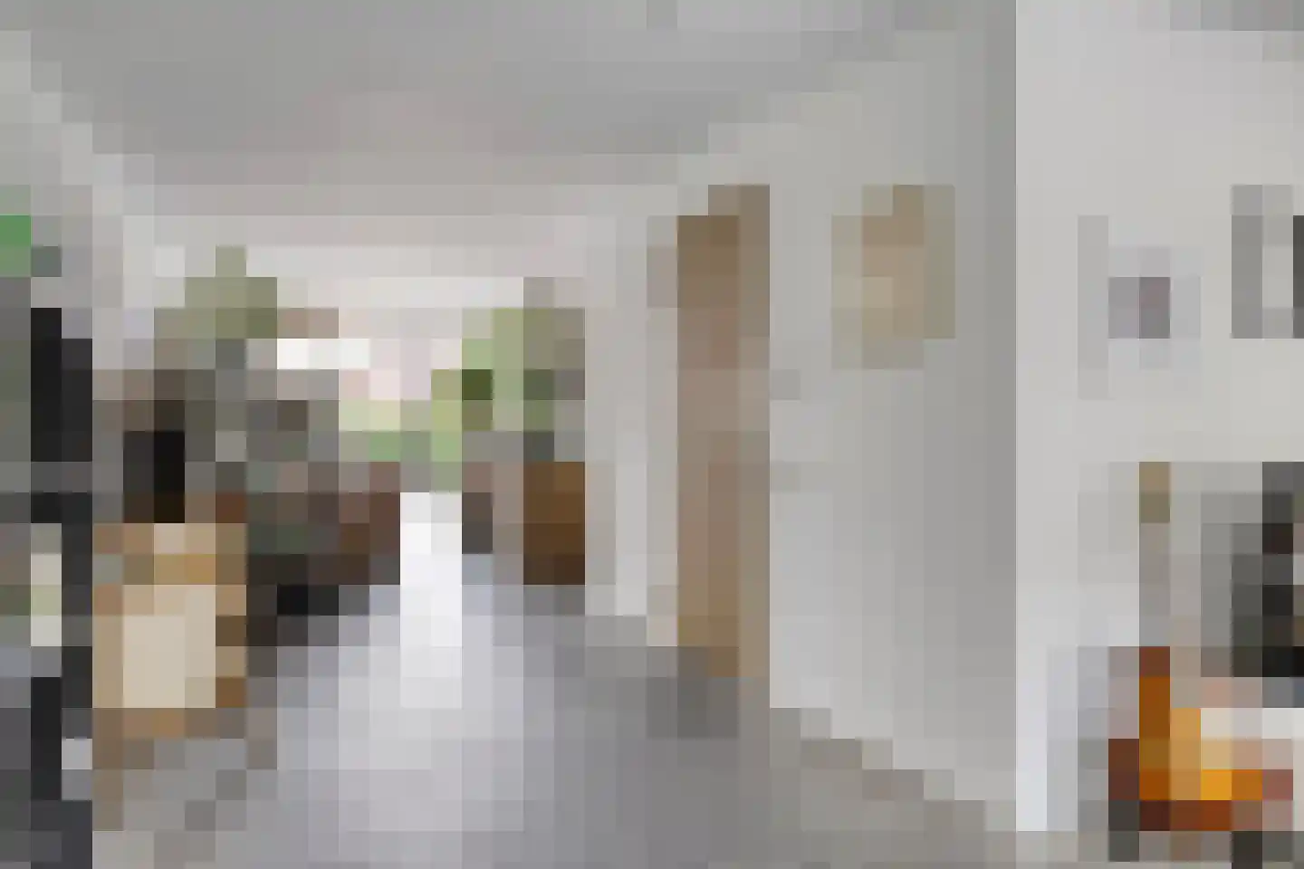 Kreukel 15 Bergen op Zoom thumbnail 9