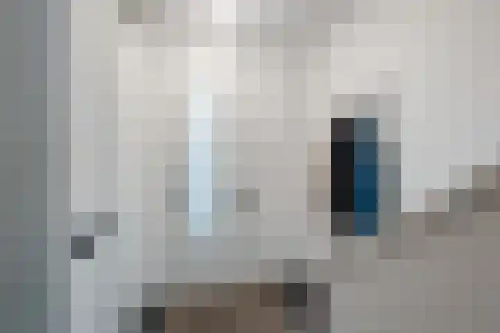 Kreukel 16 Bergen op Zoom thumbnail 8