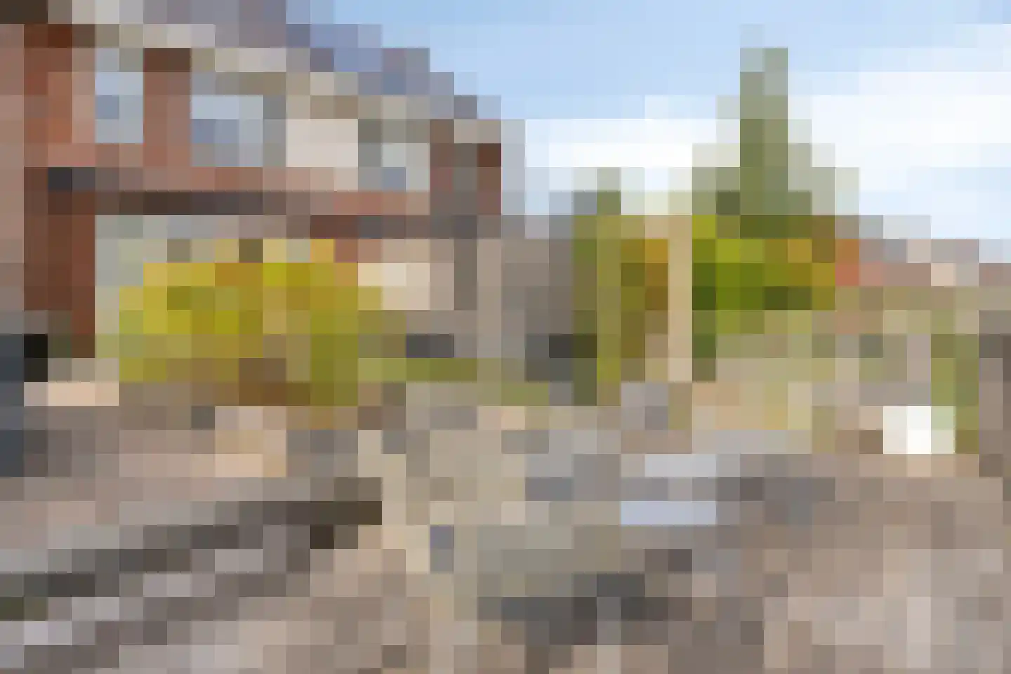 Kreukel 3 Bergen op Zoom thumbnail 10
