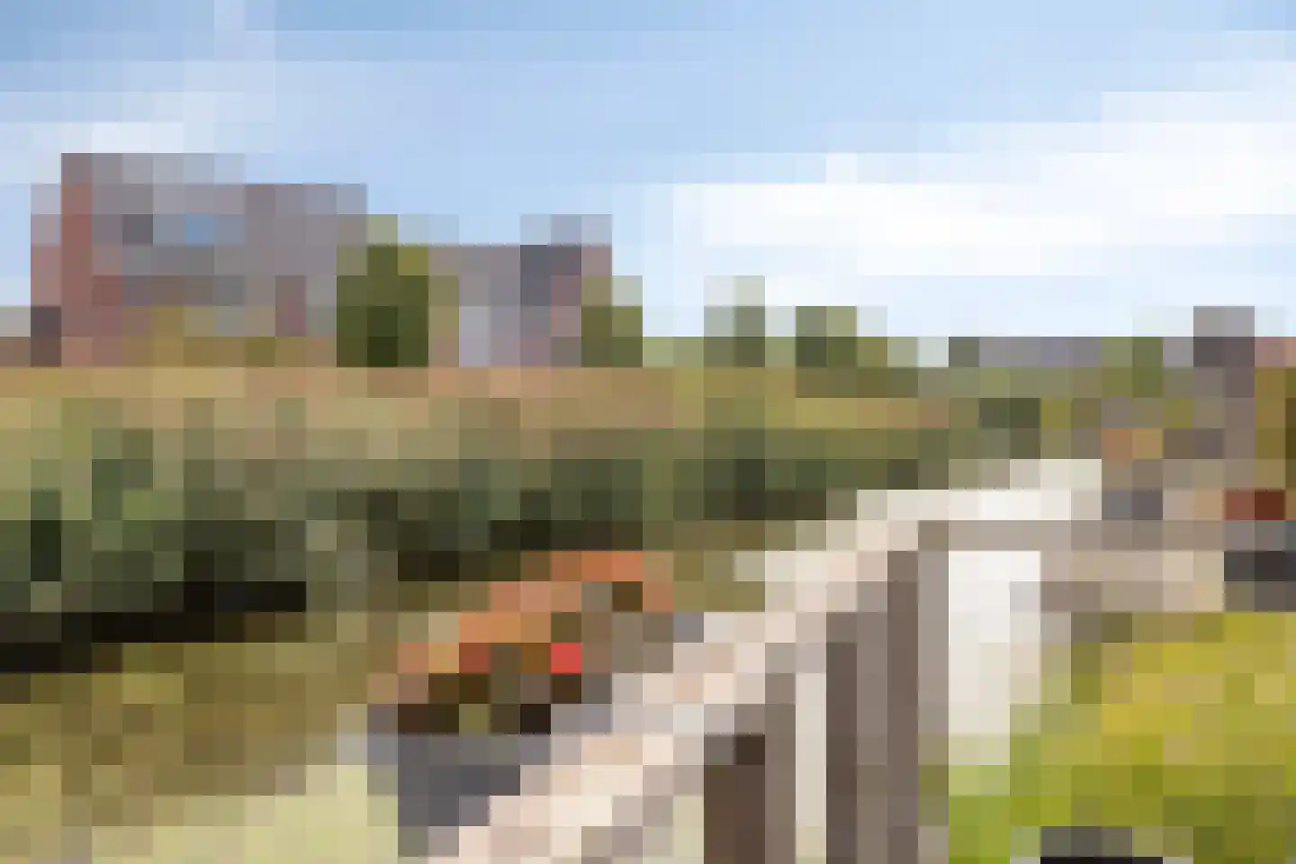 Kreukel 3 Bergen op Zoom thumbnail 47