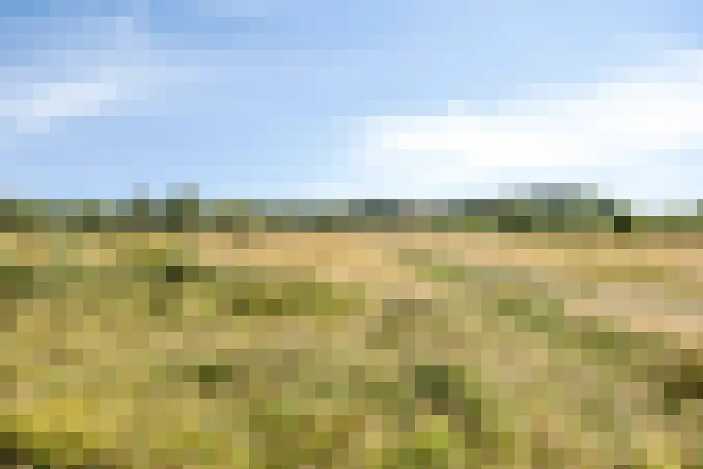 Kreukel 3 Bergen op Zoom thumbnail 55