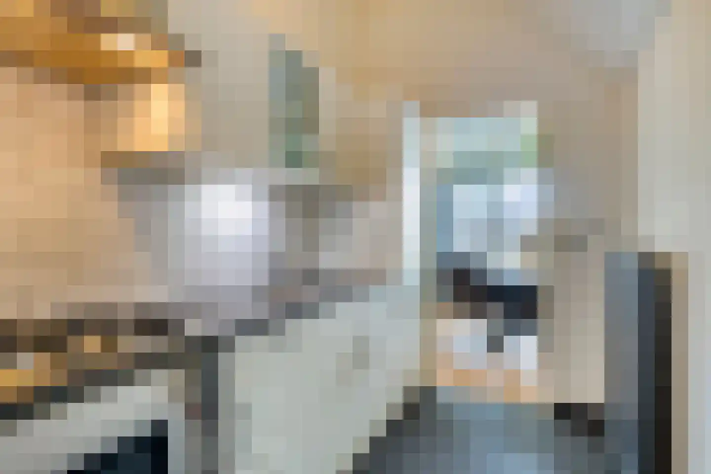 Kreukelmarkt 47 Goes thumbnail 12