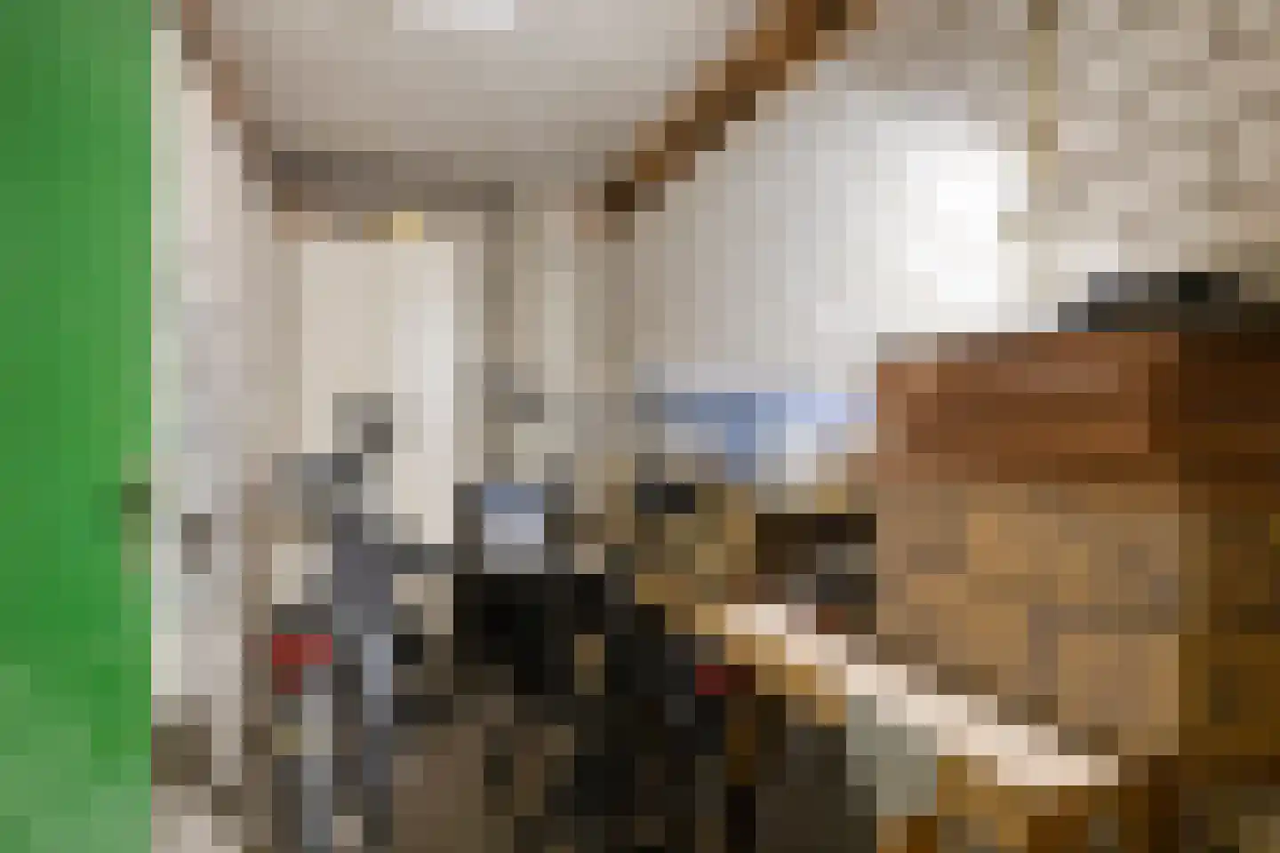 Kreukelmarkt 47 Goes thumbnail 28
