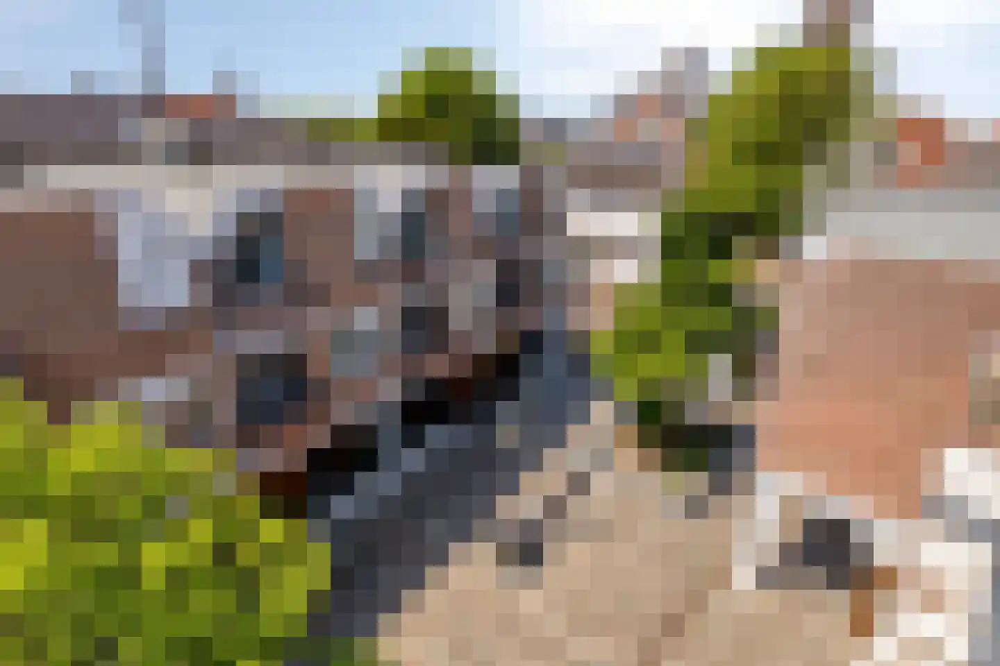 Kreukelmarkt 47 Goes thumbnail 4