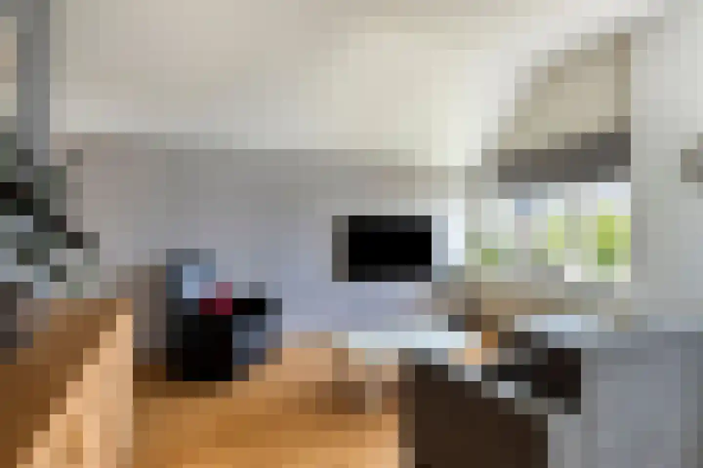 Kreukelmarkt 47 Goes thumbnail 7