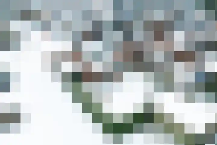 Kreunenskamp 15 Hengelo (Gld) thumbnail 12