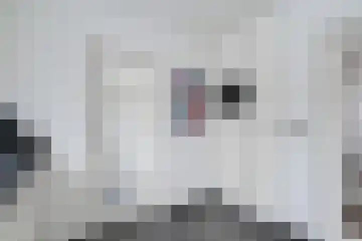Kreunenskamp 15 Hengelo (Gld) thumbnail 23