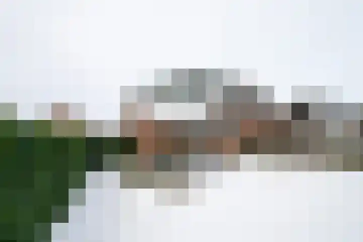 Kreunenskamp 15 Hengelo (Gld) thumbnail 47