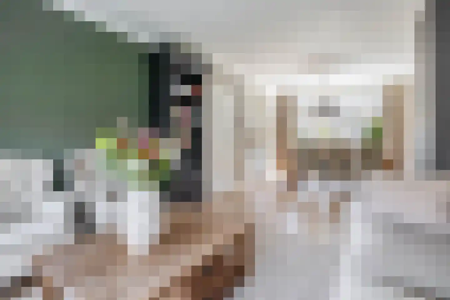 Kreupeleweg 11 Klaaswaal thumbnail 17