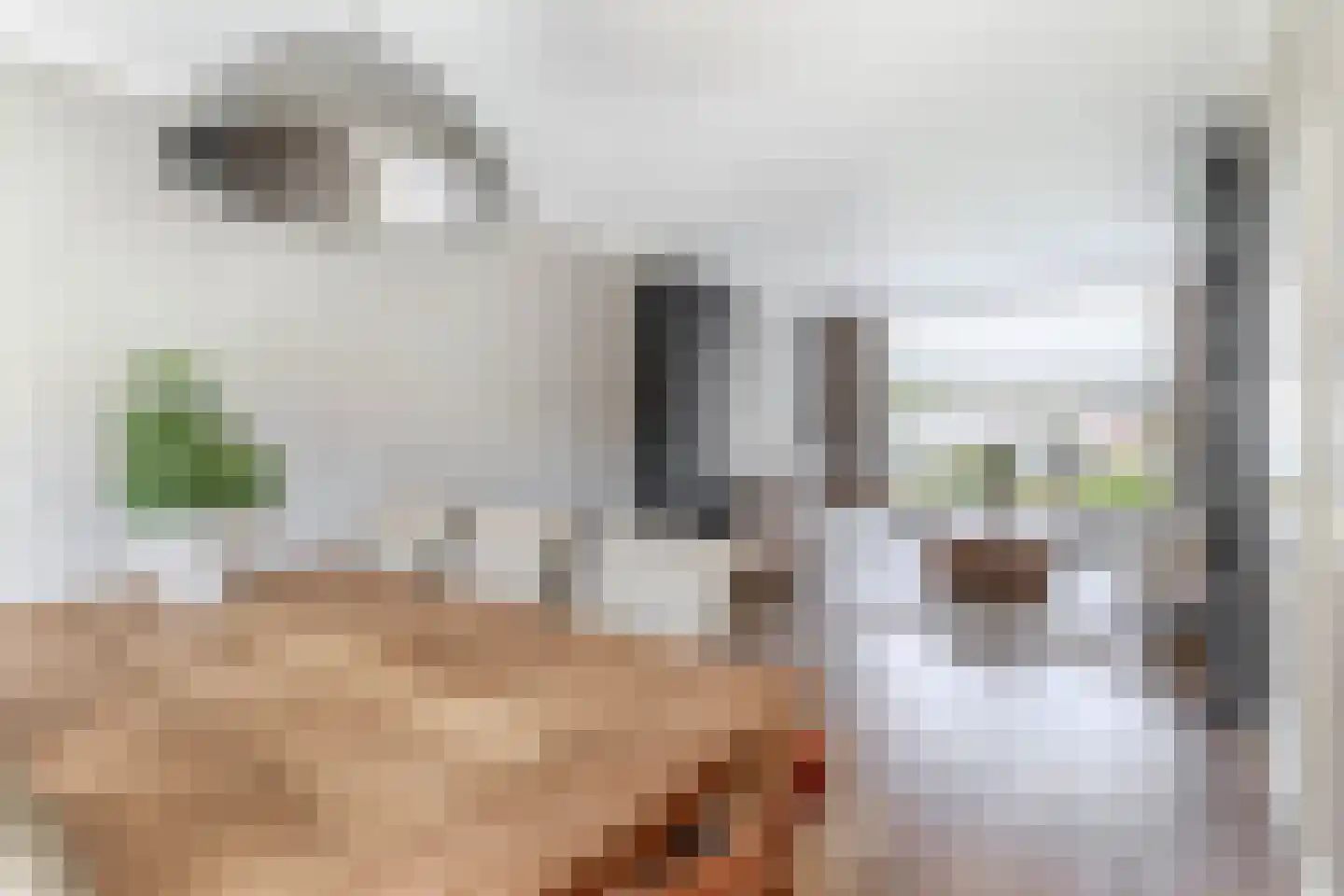 Kreupeleweg 11 Klaaswaal thumbnail 20
