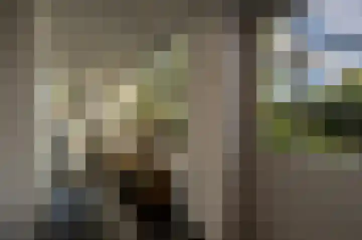 Kreupeleweg 22 Klaaswaal thumbnail 10