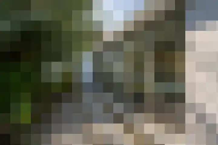 Kreupeleweg 22 Klaaswaal thumbnail 34
