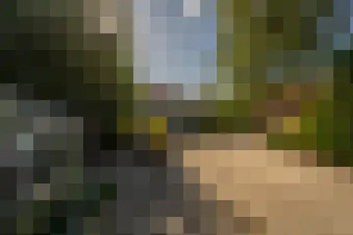 Kreupeleweg 22 Klaaswaal thumbnail 39