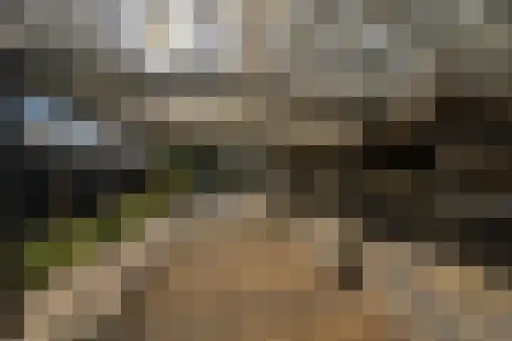 Kreupeleweg 22 Klaaswaal thumbnail 42