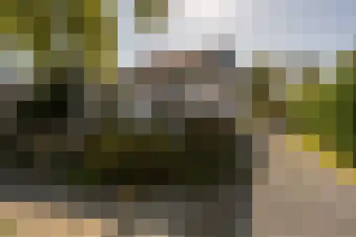 Kreupeleweg 22 Klaaswaal thumbnail 43