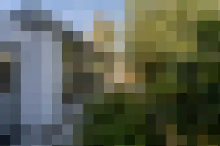 Kreupeleweg 22 Klaaswaal thumbnail 44