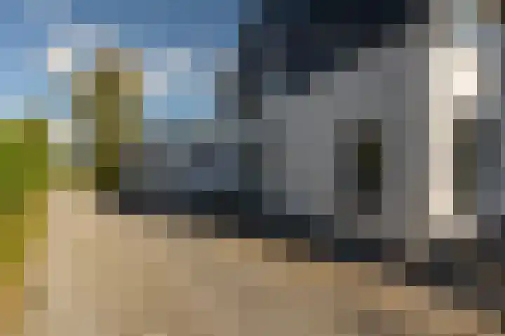 Kreupeleweg 22 Klaaswaal thumbnail 45