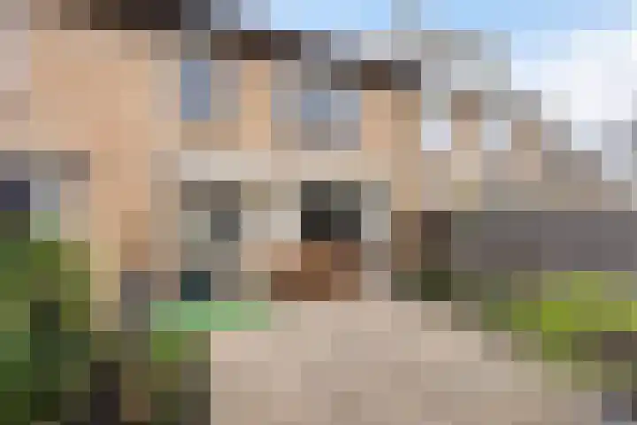 Kreupeleweg 39 Klaaswaal thumbnail 17