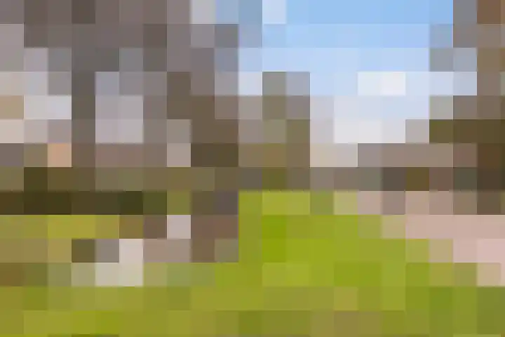 Kreupeleweg 39 Klaaswaal thumbnail 20