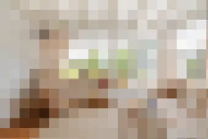 Kreupeleweg 5 Klaaswaal thumbnail 16