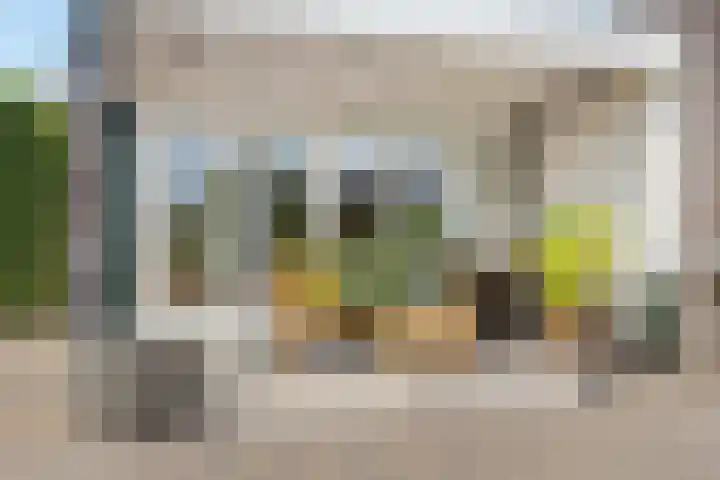 Kreupeleweg 5 Klaaswaal thumbnail 30