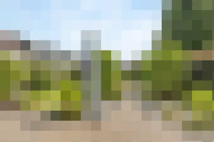 Kreupeleweg 5 Klaaswaal thumbnail 31