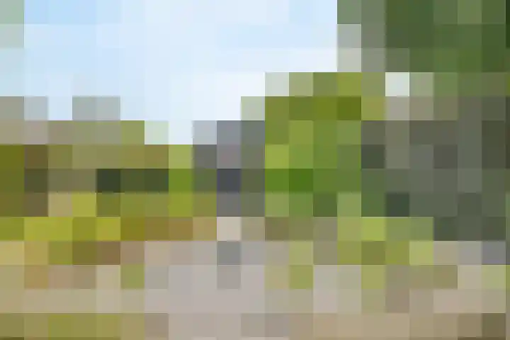 Kreupeleweg 5 Klaaswaal thumbnail 32