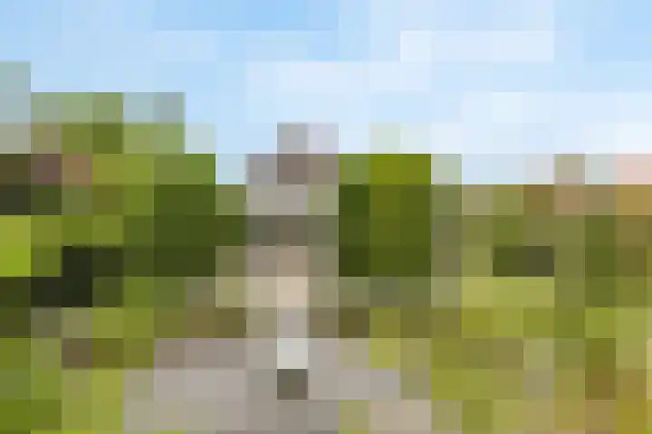 Kreupeleweg 5 Klaaswaal thumbnail 33