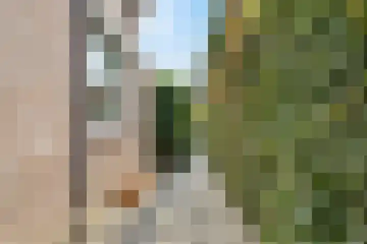 Kreupeleweg 5 Klaaswaal thumbnail 37