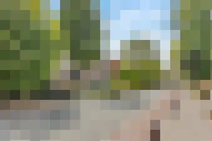 Kreupeleweg 5 Klaaswaal thumbnail 38