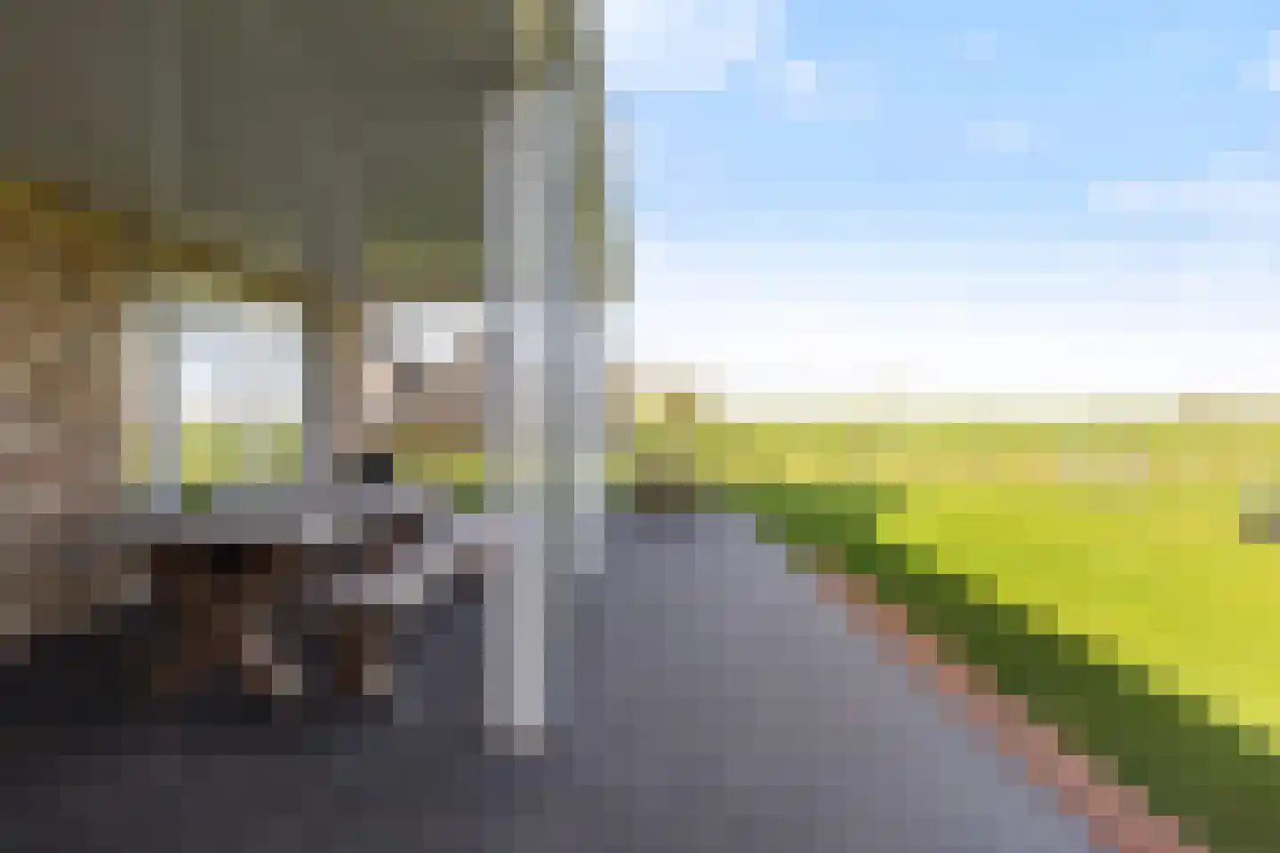 Kreupeleweg 72 Westmaas thumbnail 11