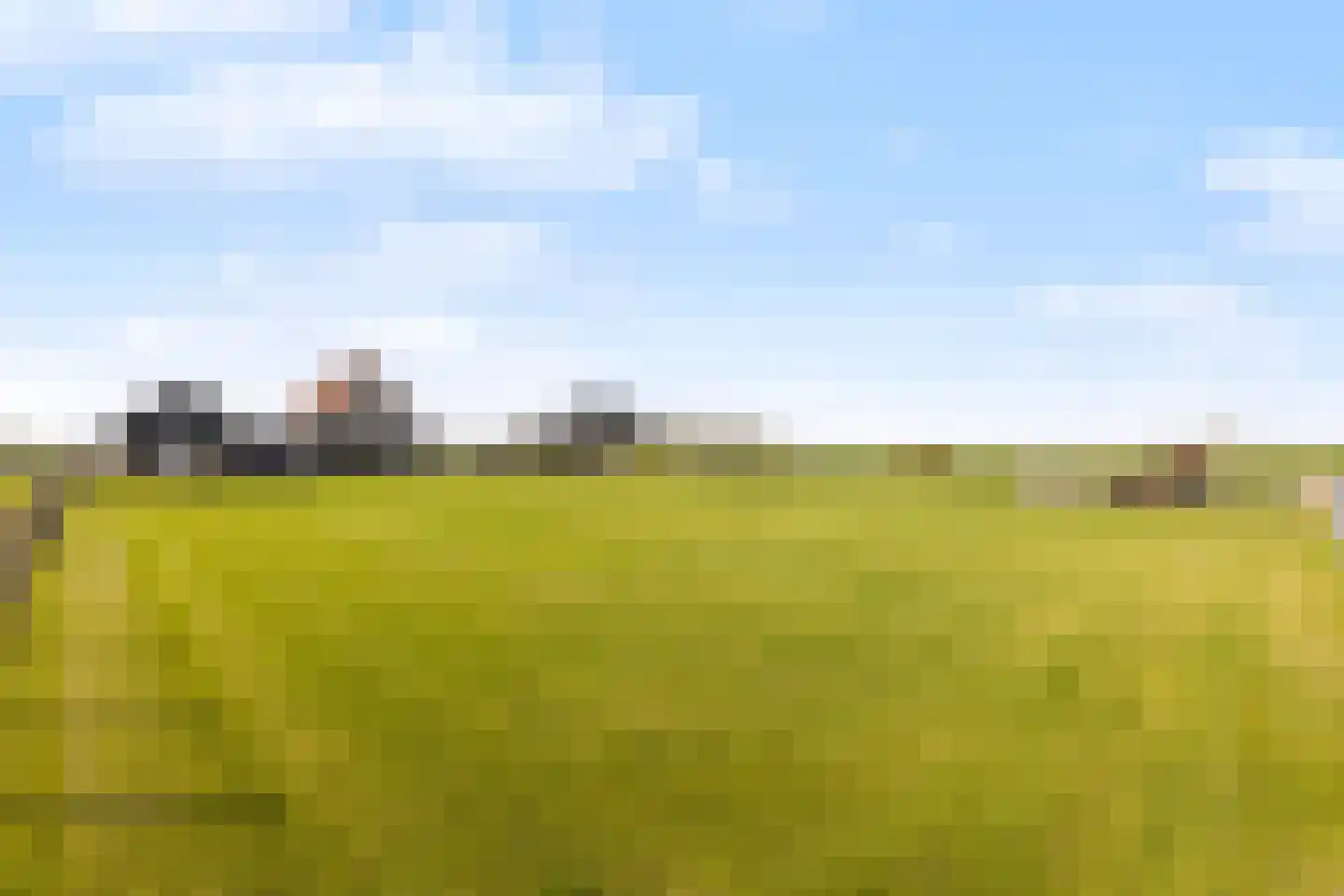 Kreupeleweg 72 Westmaas thumbnail 12