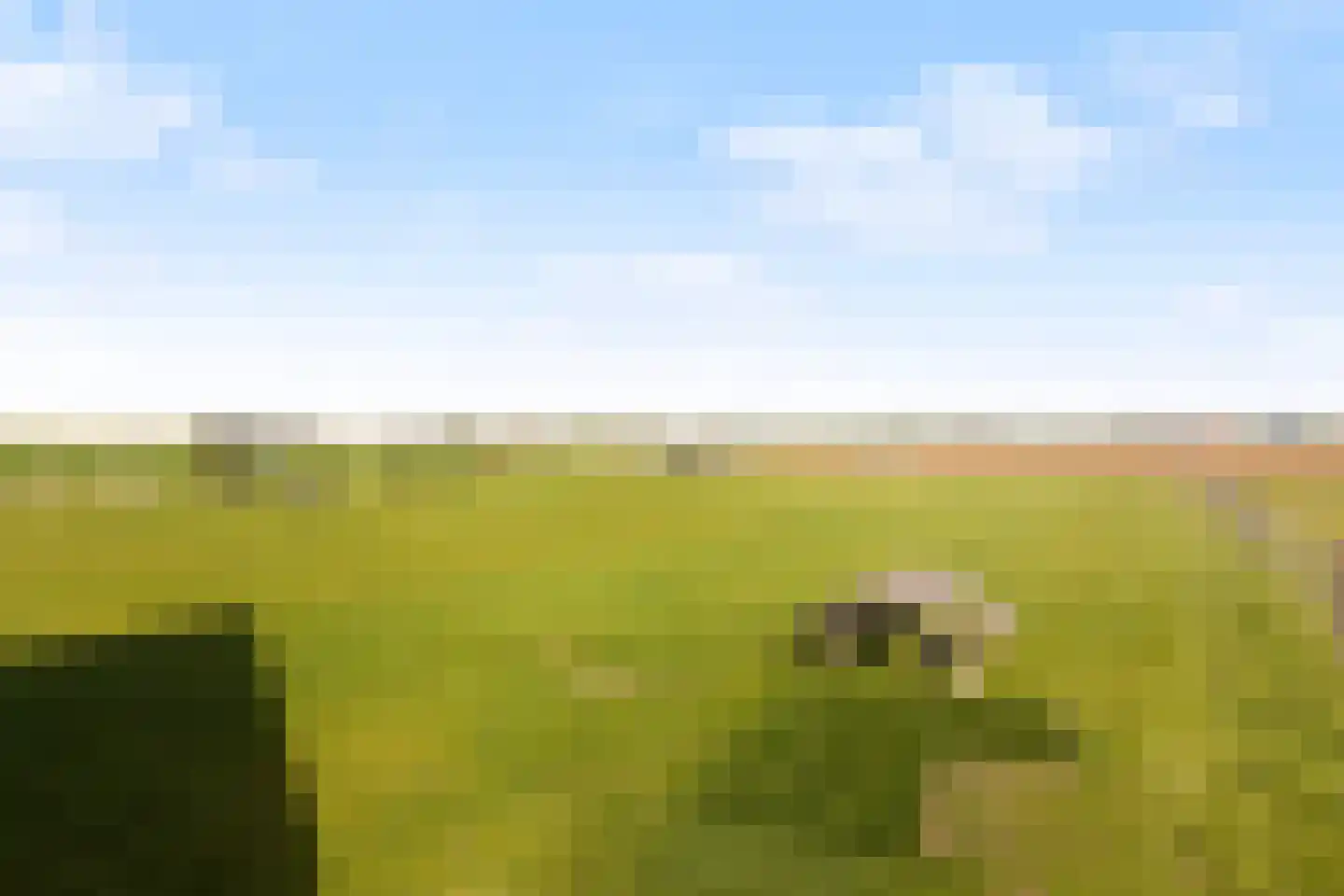 Kreupeleweg 72 Westmaas thumbnail 15