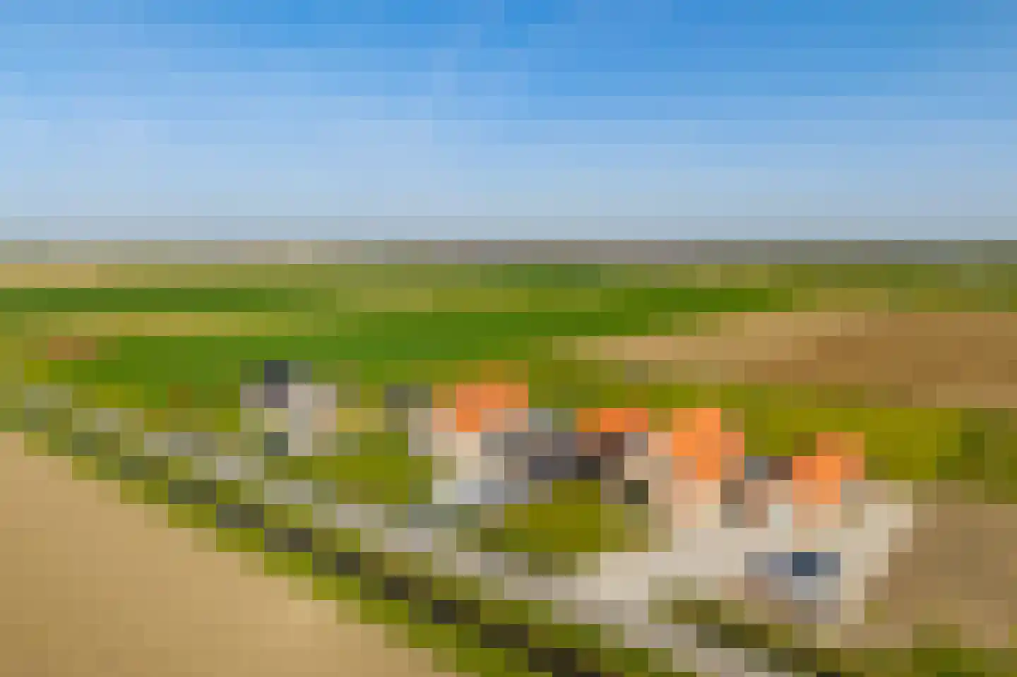 Kreupeleweg 72 Westmaas thumbnail 5