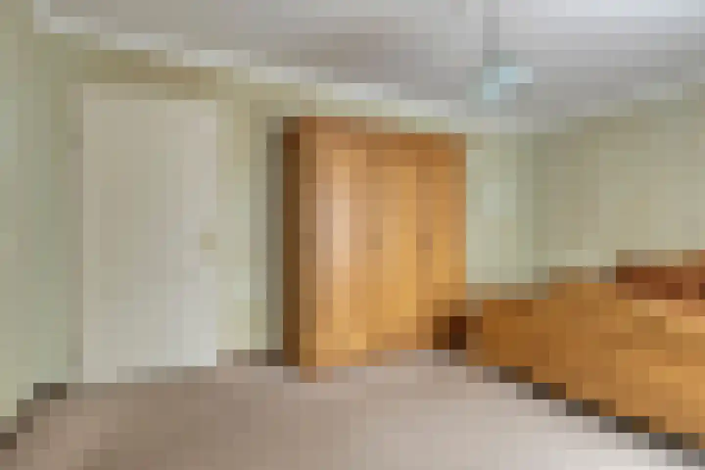Kreupelstraat 9 Vierlingsbeek thumbnail 17