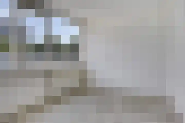 Kreutzerstraat 20 Tilburg thumbnail 11