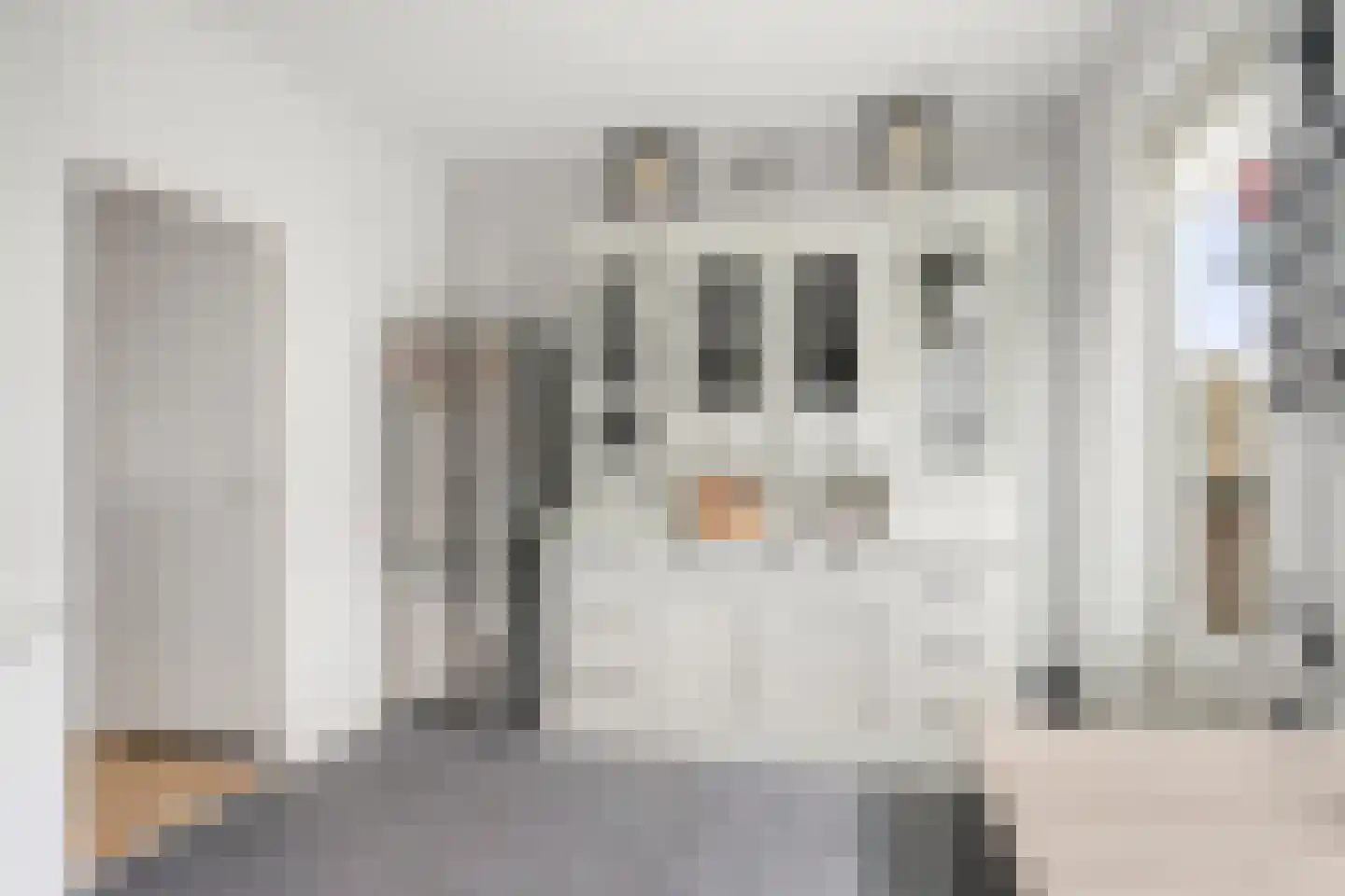 Kreutzerstraat 40 Tilburg thumbnail 25