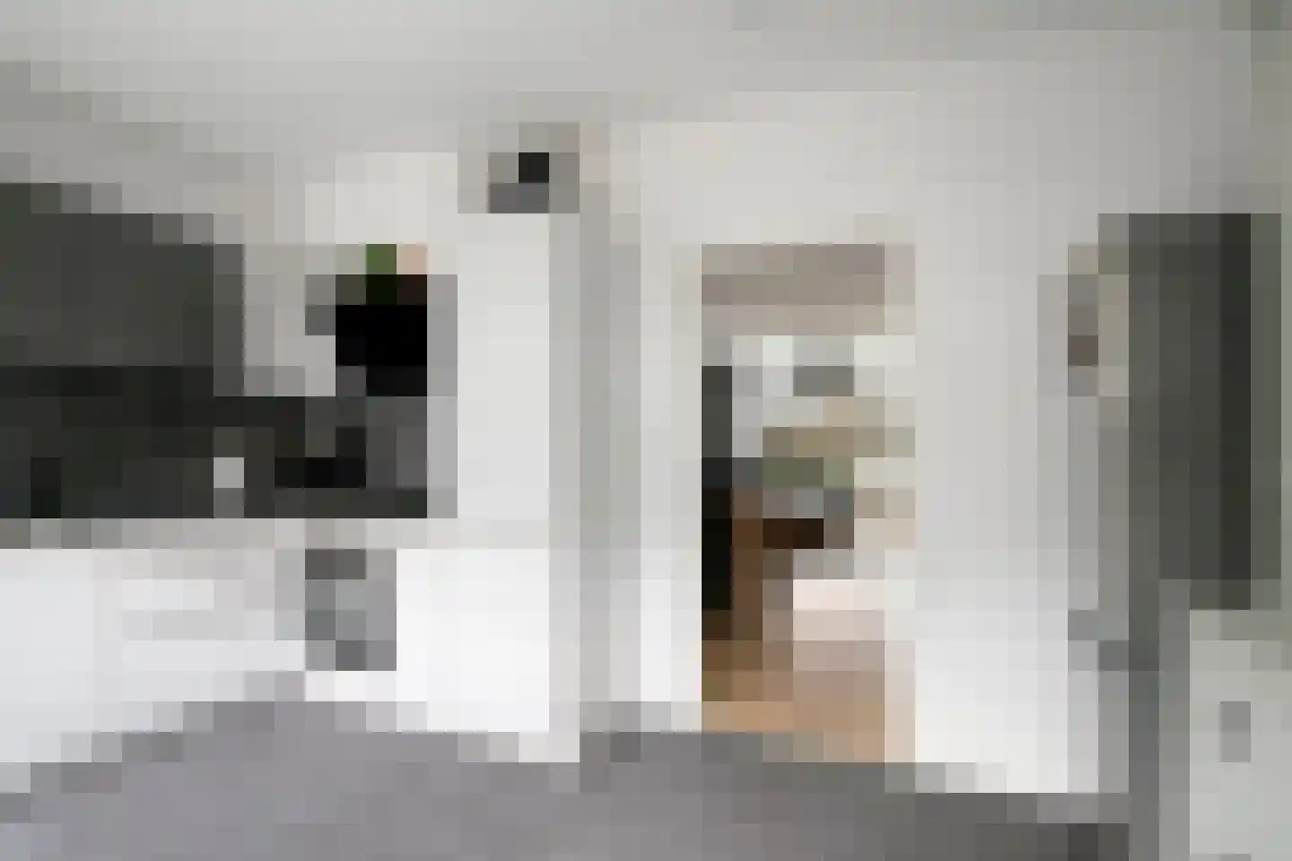 Kreutzerstraat 40 Tilburg thumbnail 28