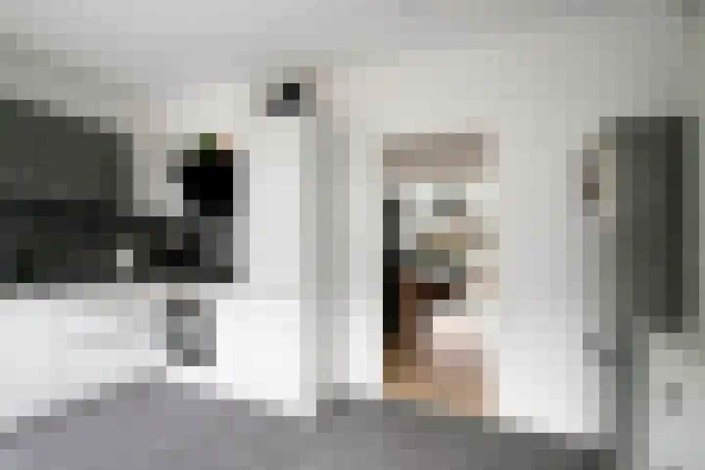 Kreutzerstraat 40 Tilburg thumbnail 30
