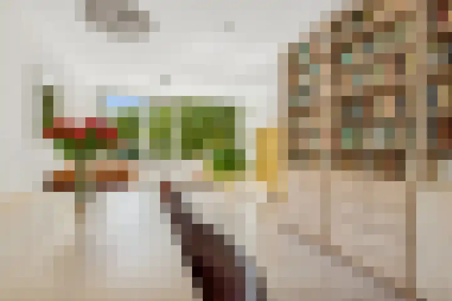 Kreutzerstraat 54 Tilburg thumbnail 20