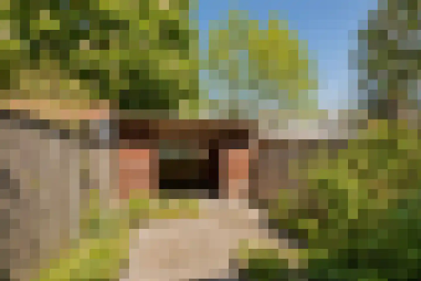 Kreutzerstraat 54 Tilburg thumbnail 33
