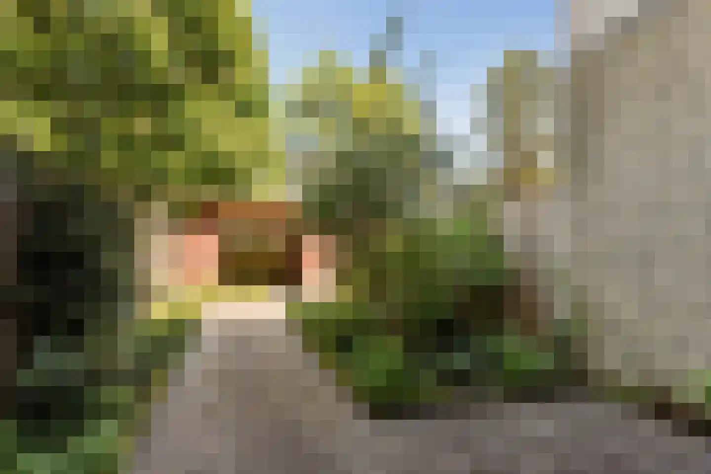 Kreutzerstraat 54 Tilburg thumbnail 34