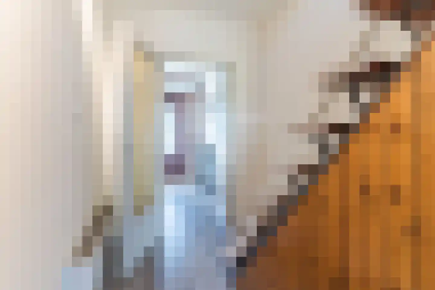Kreutzerstraat 66 Tilburg thumbnail 10